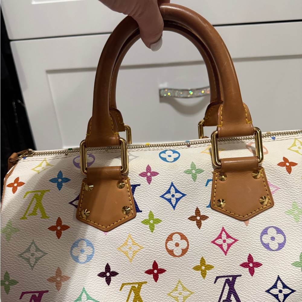 Louis Vuitton Multicolor Speedy 30 - Picture 12 of 17